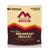 290094 Classic Breakfast Skillet