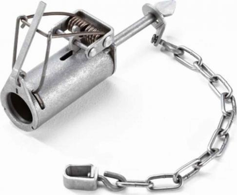 Coil Spring Raccoon Trap