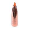 Nosler Ballistic Tip Varmint Bullets