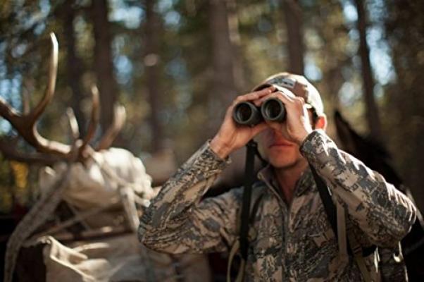 -Sheltered Wings Binoculars SWRZB2102 Razor HD 10 X 42