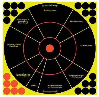 Birchwood Casey 34032 Shoot-N-C Reactive Target Self-Adhesive Paper