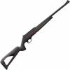 Winchester Wildcat 22 LR Rifle