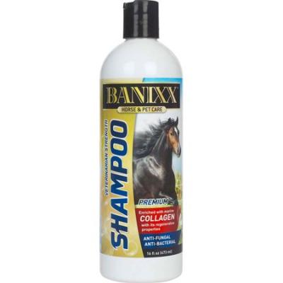 897227 002104 16 Oz Banixx Shampoo Med with Collagen